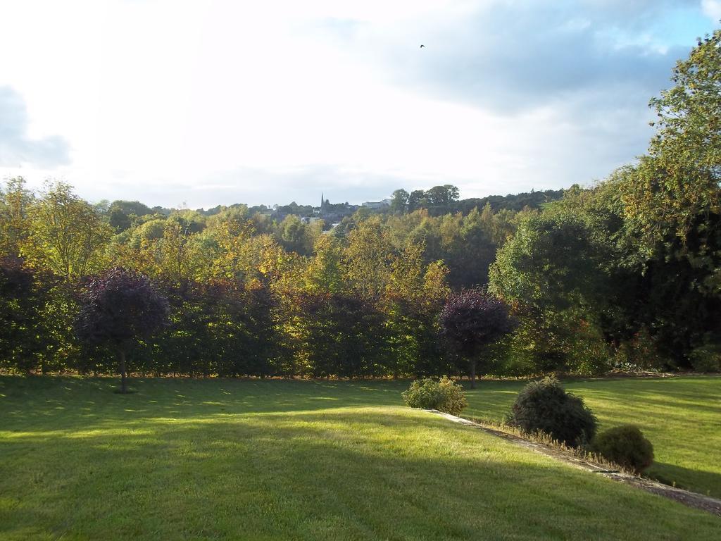 Grove Lodge B&B Monaghan Buitenkant foto